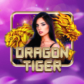Dragon Tiger live on d9d9 online
